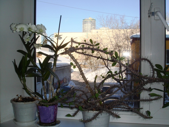 Photo1
