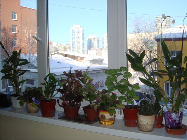 Photo1